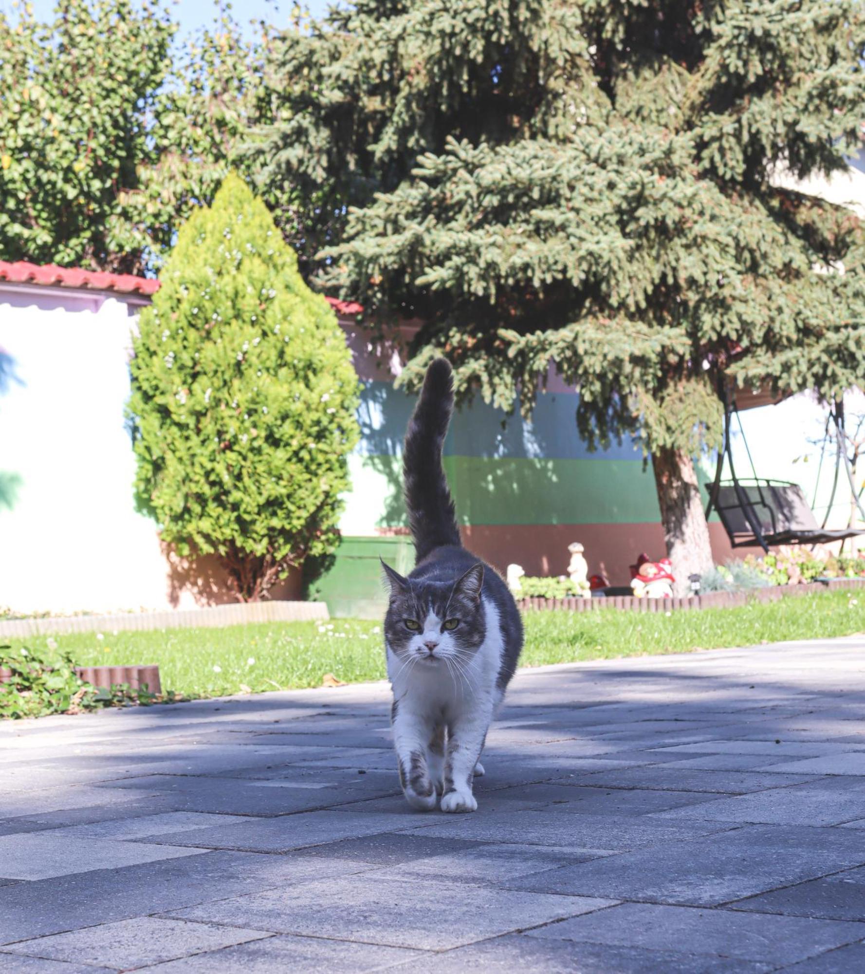 Szivarvany Panzio Szeged Bagian luar foto